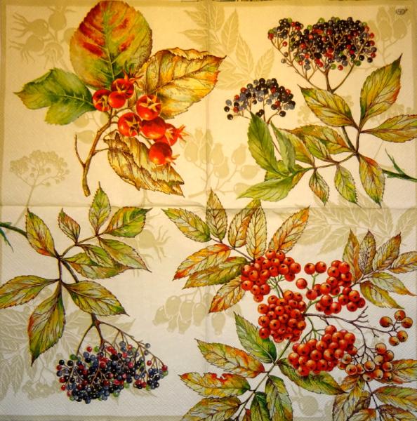 046 Berry - 3-ply (brown) - Ihr
